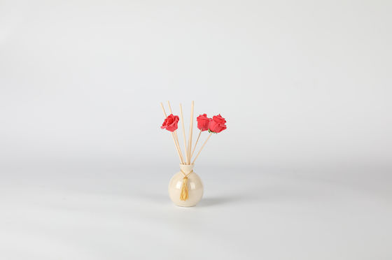 100ml Diffuser Perfume Fragrance Gift Sets 14x8x12.3cm